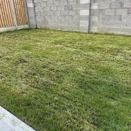 Cosy And Beautiful Vegetarians Only *