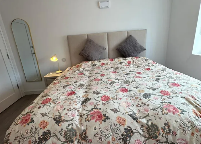 Cosy And Beautiful Vegetarians Only * Dublin