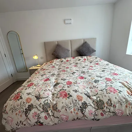 Cosy And Beautiful Vegetarians Only * Dublin