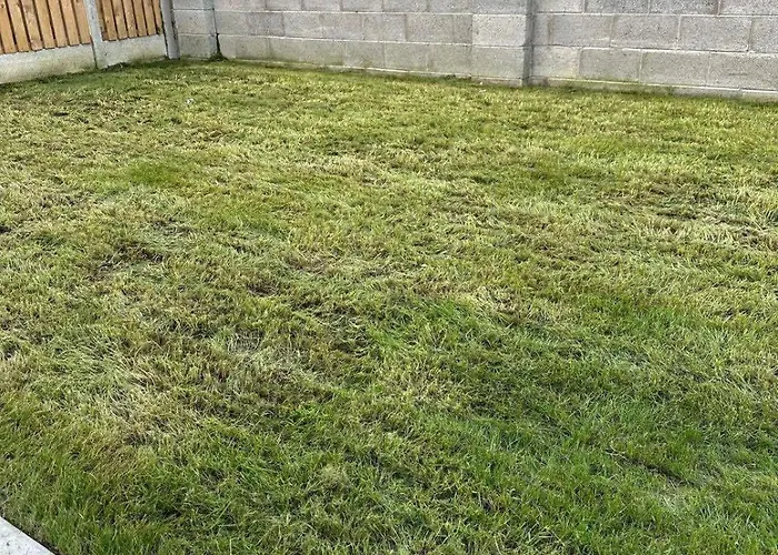 Cosy And Beautiful Vegetarians Only *