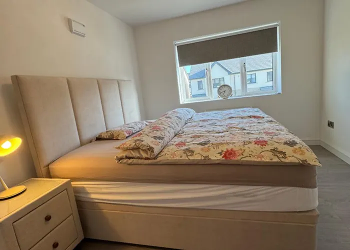 Cosy And Beautiful Vegetarians Only 民宿 都柏林